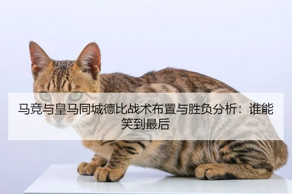 马竞与皇马同城德比战术布置与胜负分析：谁能笑到最后