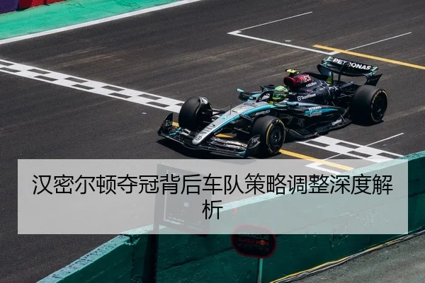汉密尔顿夺冠背后车队策略调整深度解析